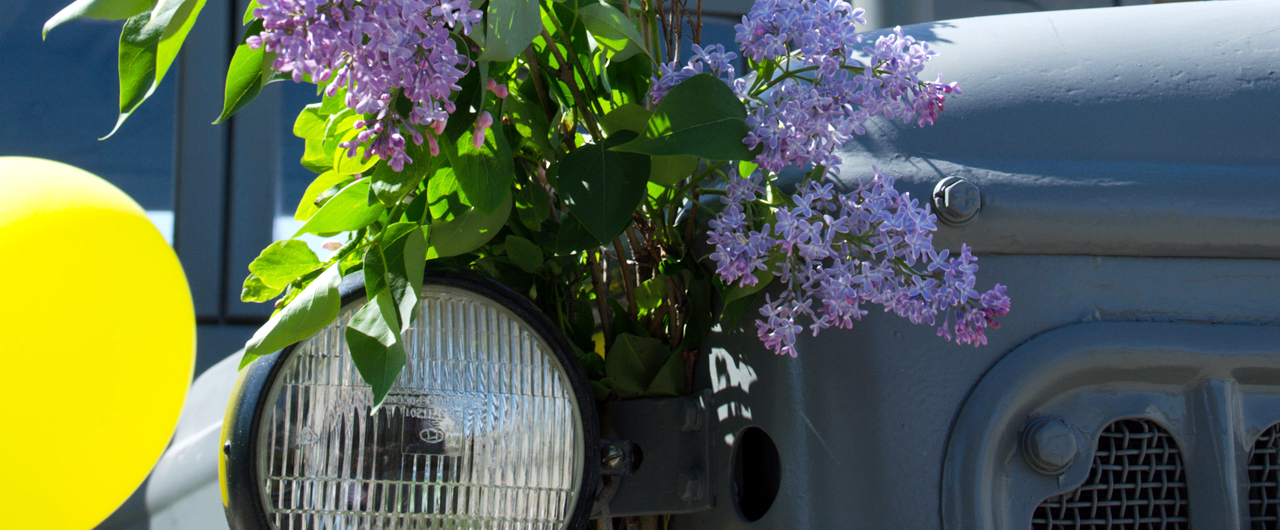 bez-nazvaniya-49-png